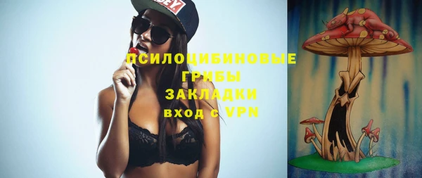 сатива Богданович